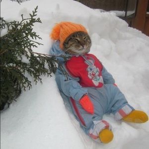 Meet your Posher, Cindy